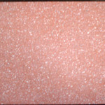 Red Terrazzo Tile (White Small Chips)