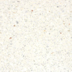 White Terrazzo Tile (White Chips)